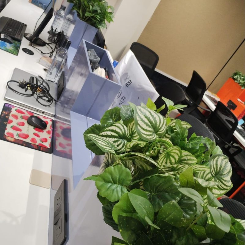 WhatsApp Image 2026-02-06 at 23.08.38 (1)