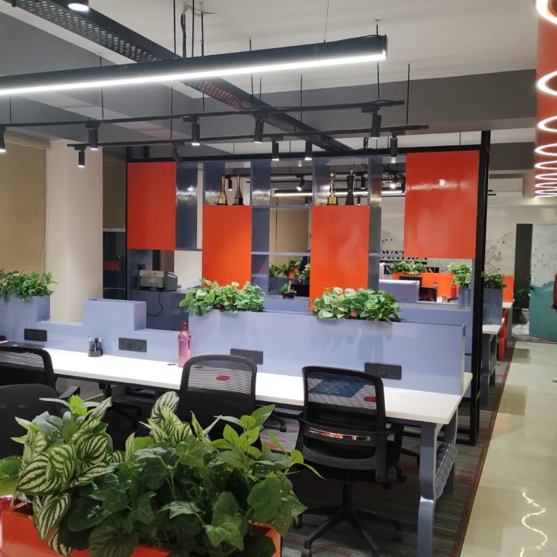 WhatsApp Image 2026-02-06 at 23.08.39