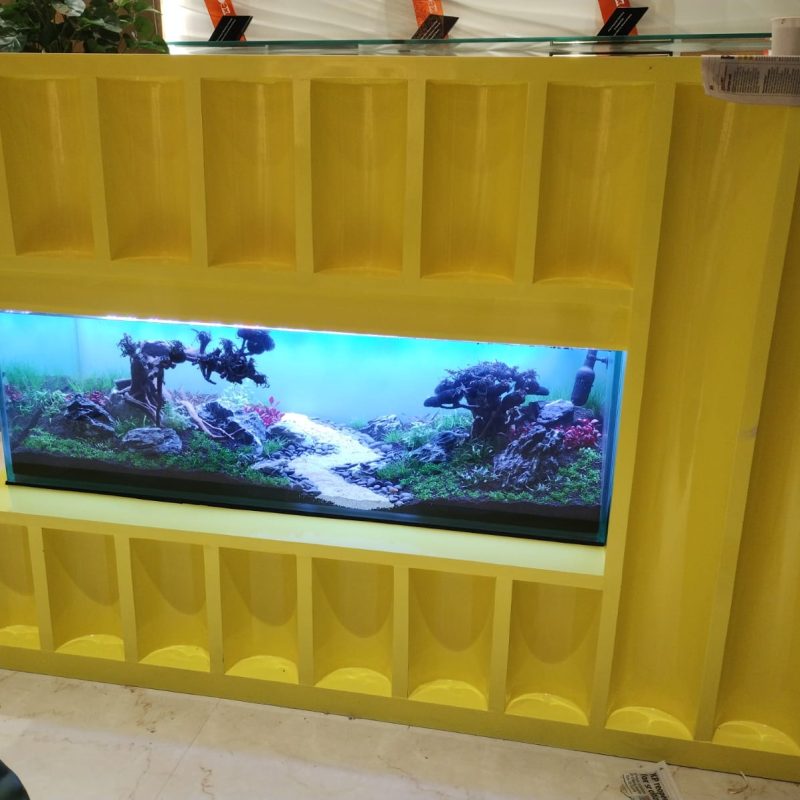 WhatsApp Image 2026-02-06 at 23.08.43